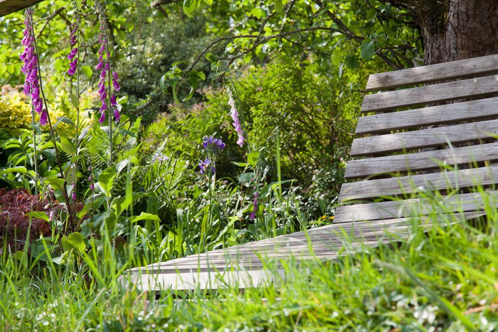 Glebe Farm B&B Kingsbridge  Bagian luar foto
