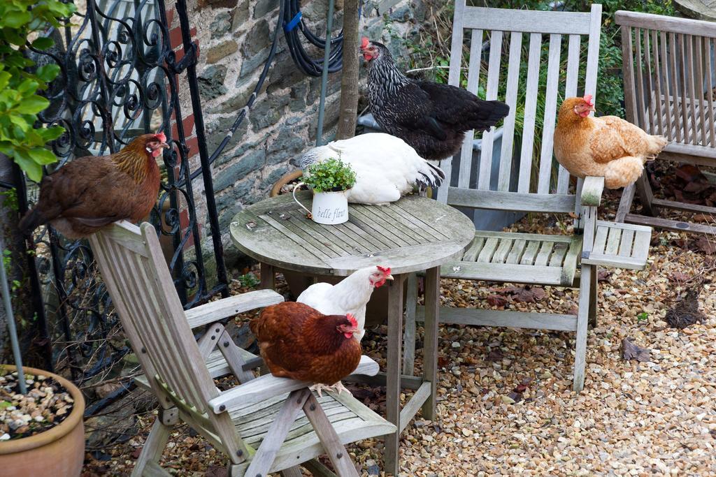 Glebe Farm B&B Kingsbridge  Bagian luar foto