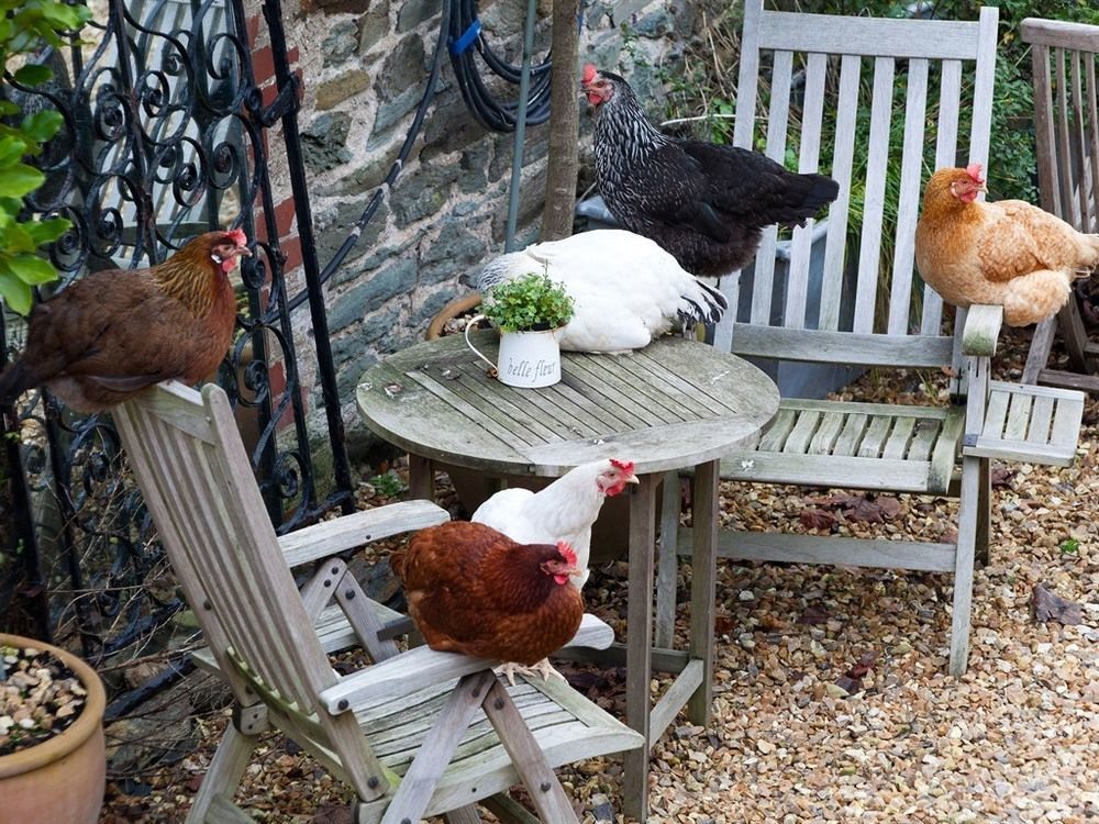Glebe Farm B&B Kingsbridge  Bagian luar foto